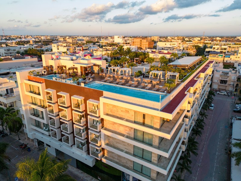 The Reef 28 Playa Del Carmen