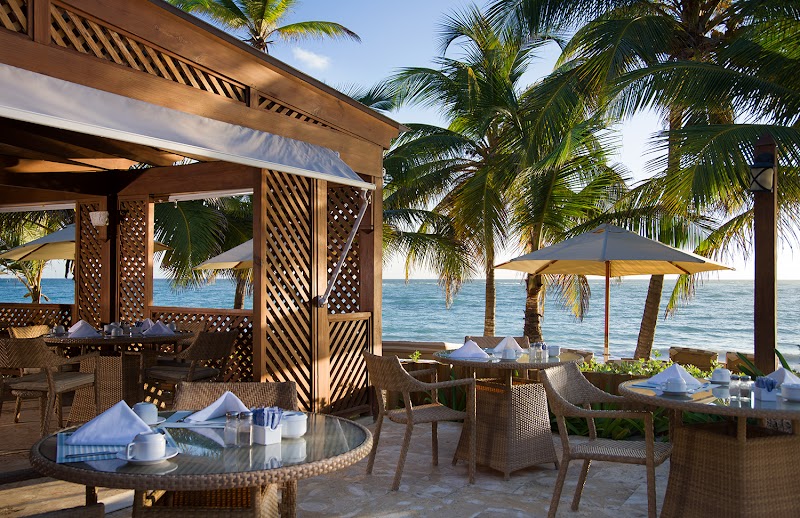 Vik Hotel Cayena Beach
