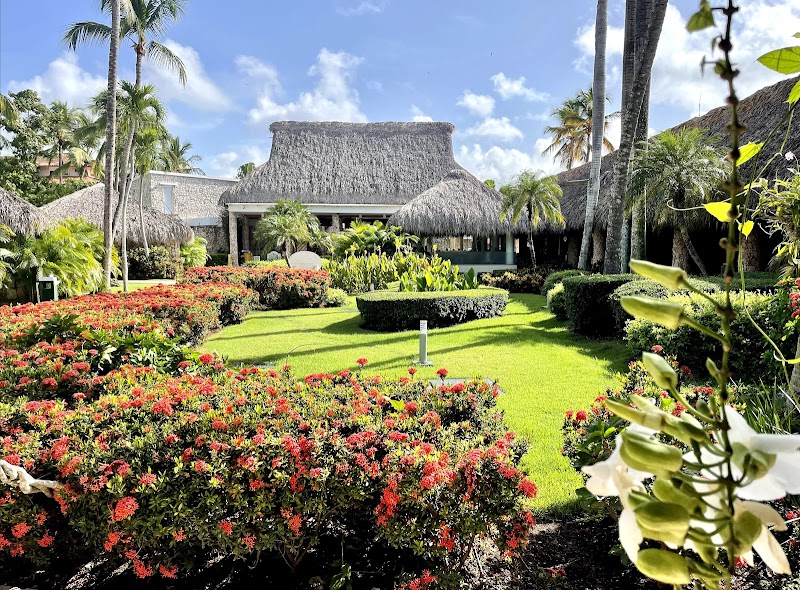 Viva Dominicus Beach by Wyndham