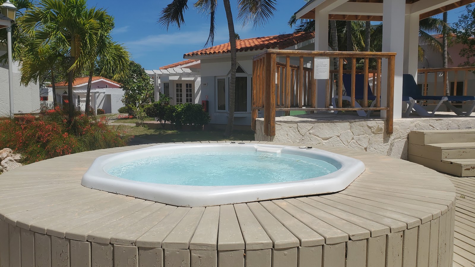 Sol Palmeras